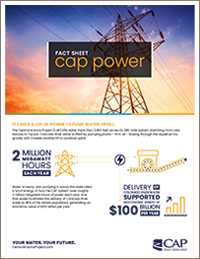 CAP Power Fact Sheet Thumbnail