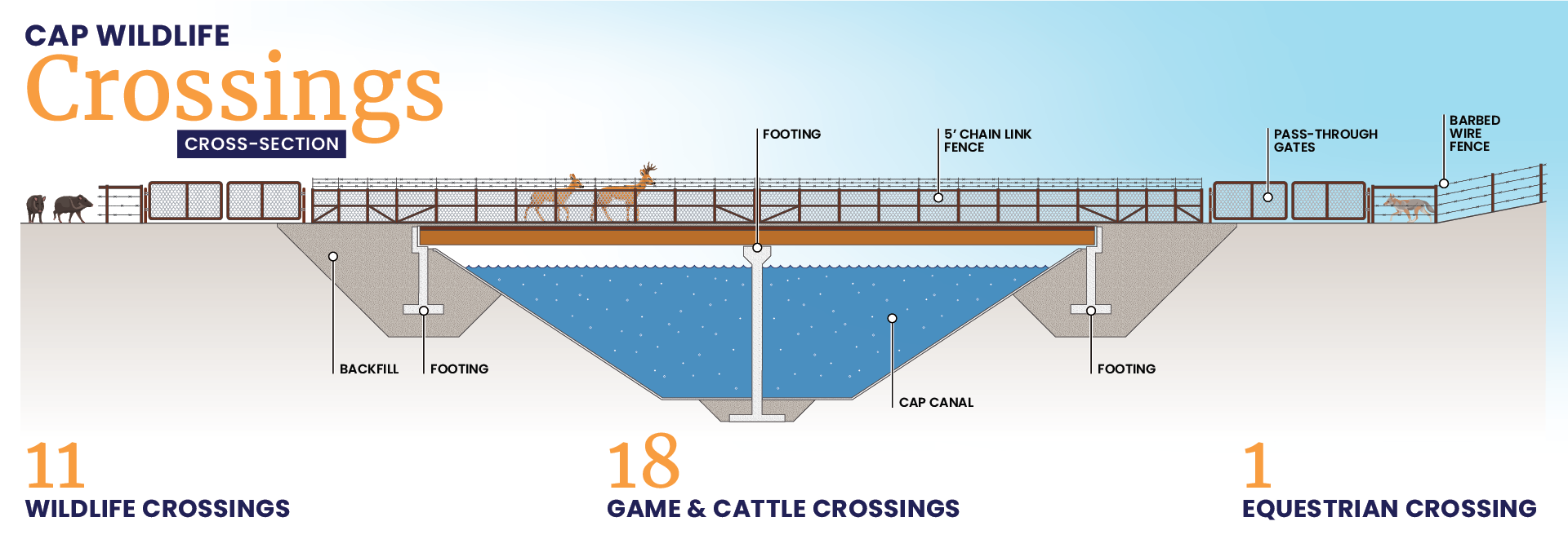 CAP wildlife crossing infographic