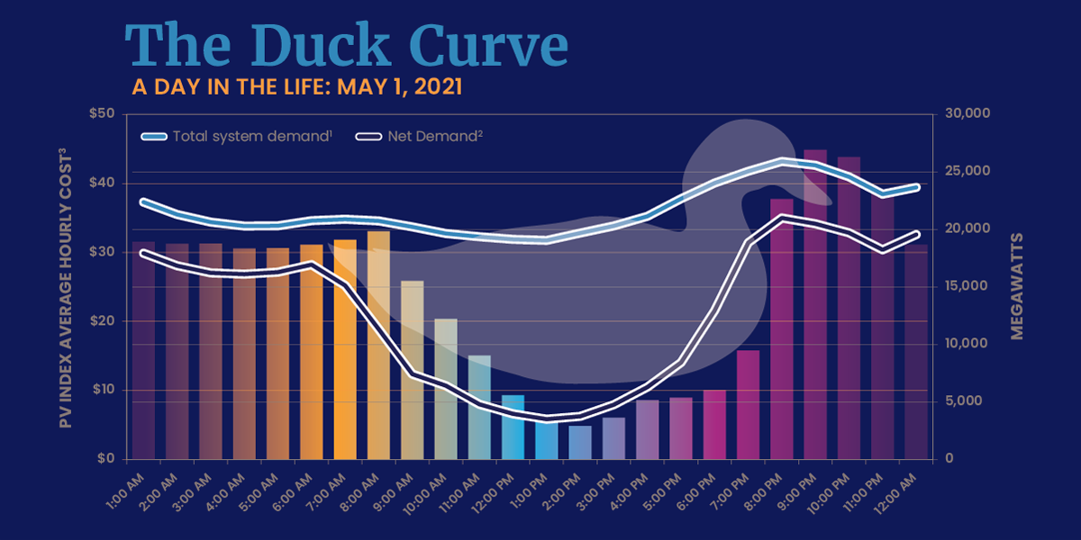 CAP Duck Curve Infographic