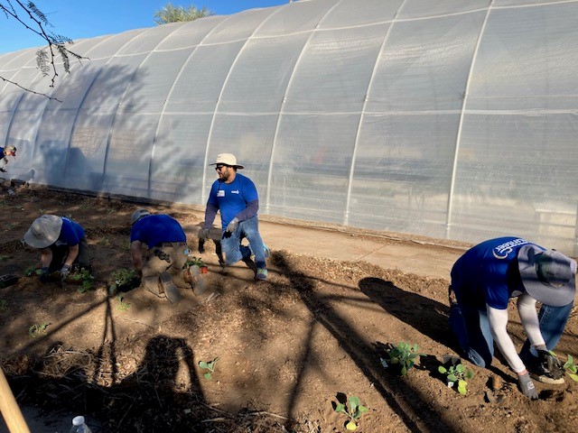 CAP Employees Volunteering at the St. Vincent de Paul Urban Garden