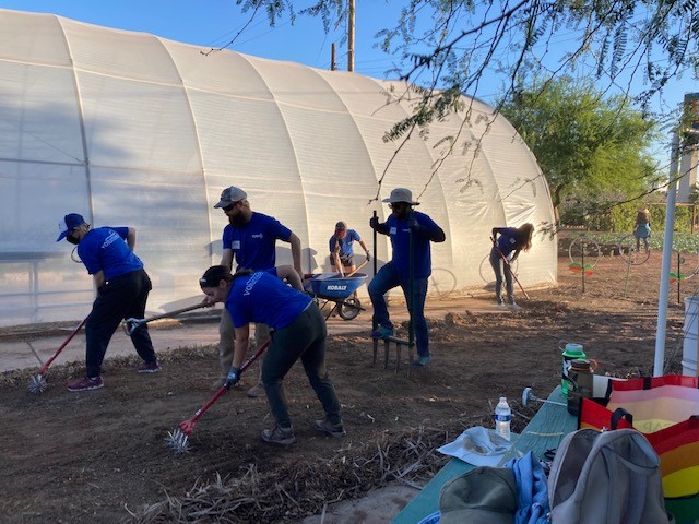 CAP Volunteering at the St. Vincent de Paul Urban Garden