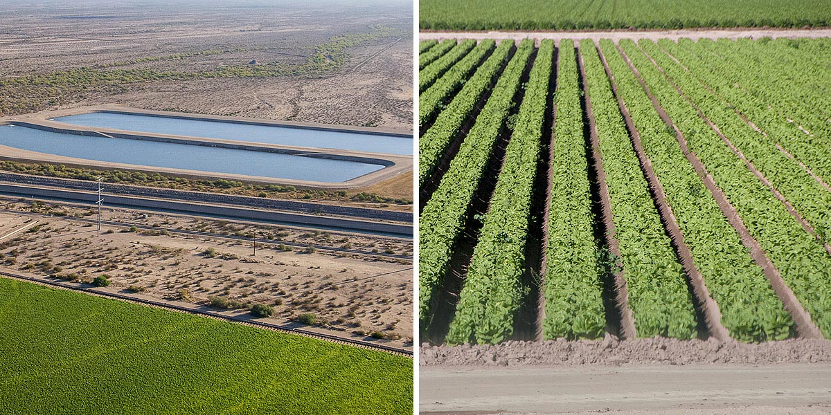 Image of Crops and Replenishment