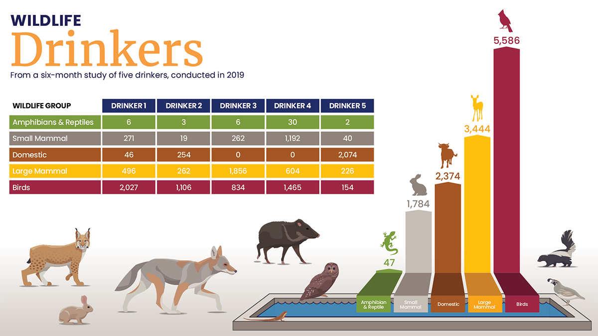 Wildlife CAP Water Drinkers Infographic