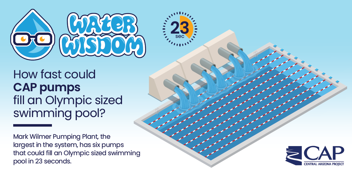 CAP infographic showing how fast Fark Wilmer Pumping Plant can fill a pool