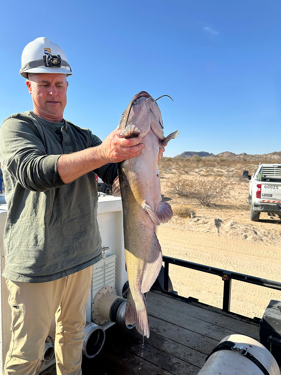 Fish rescue! - Central Arizona Project