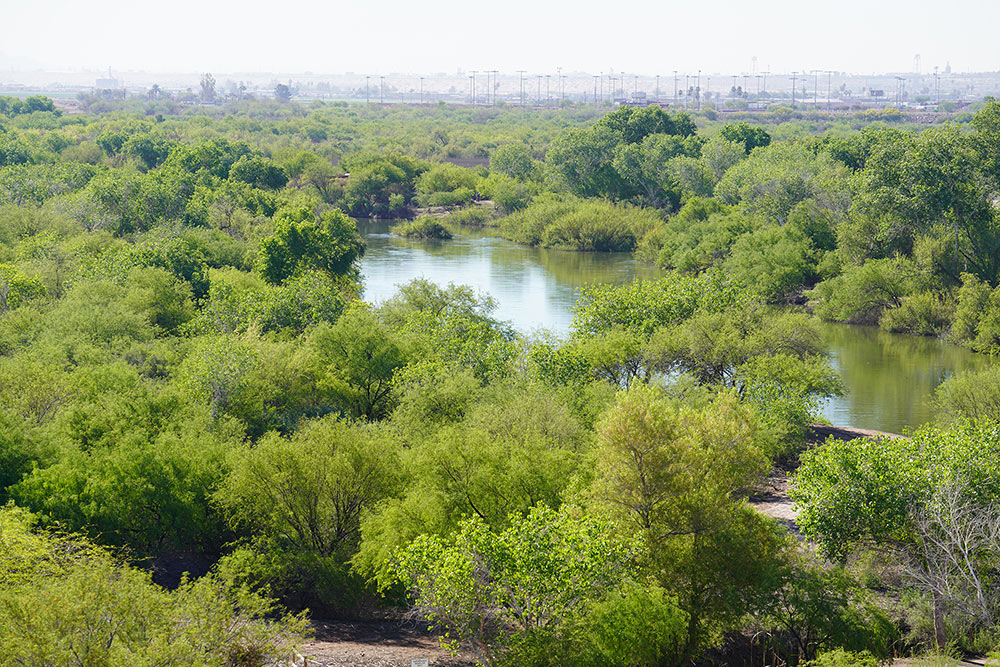 Yuma East Wetlands aerial view