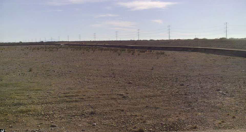 Field with no vegetation remaining