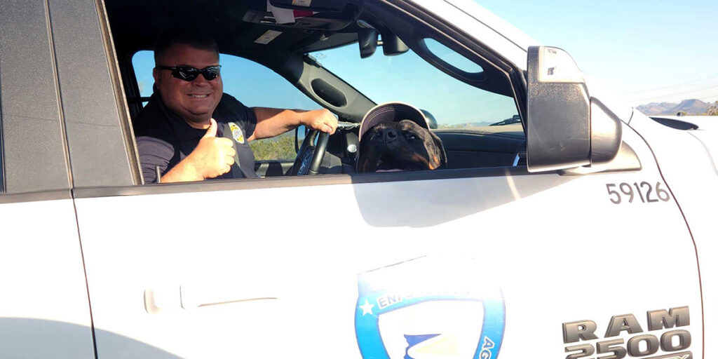 Man giving thumbs up with dog looking out the window of a car