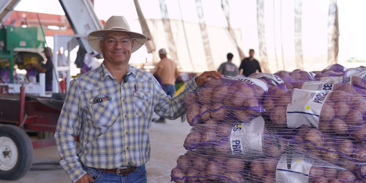 Farm Manager Damian Murrieta at the potatoes processing plant with finished produce ready to be sent to suppliers