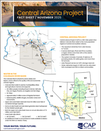 Thumbnail image of CAP Factsheet