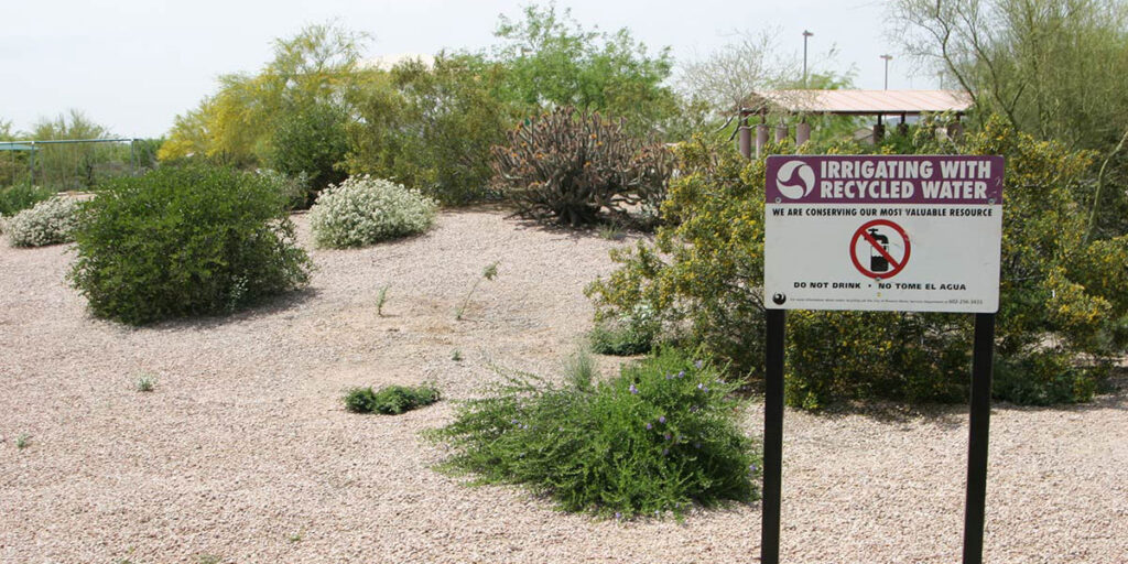 Reclaimed water sign at Cashman Park