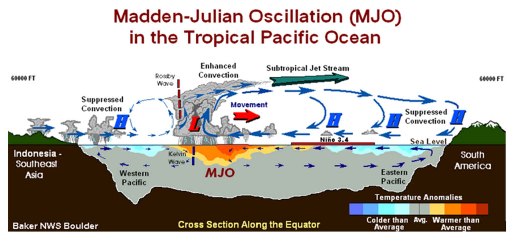 The Madden Julian Oscillation infographic