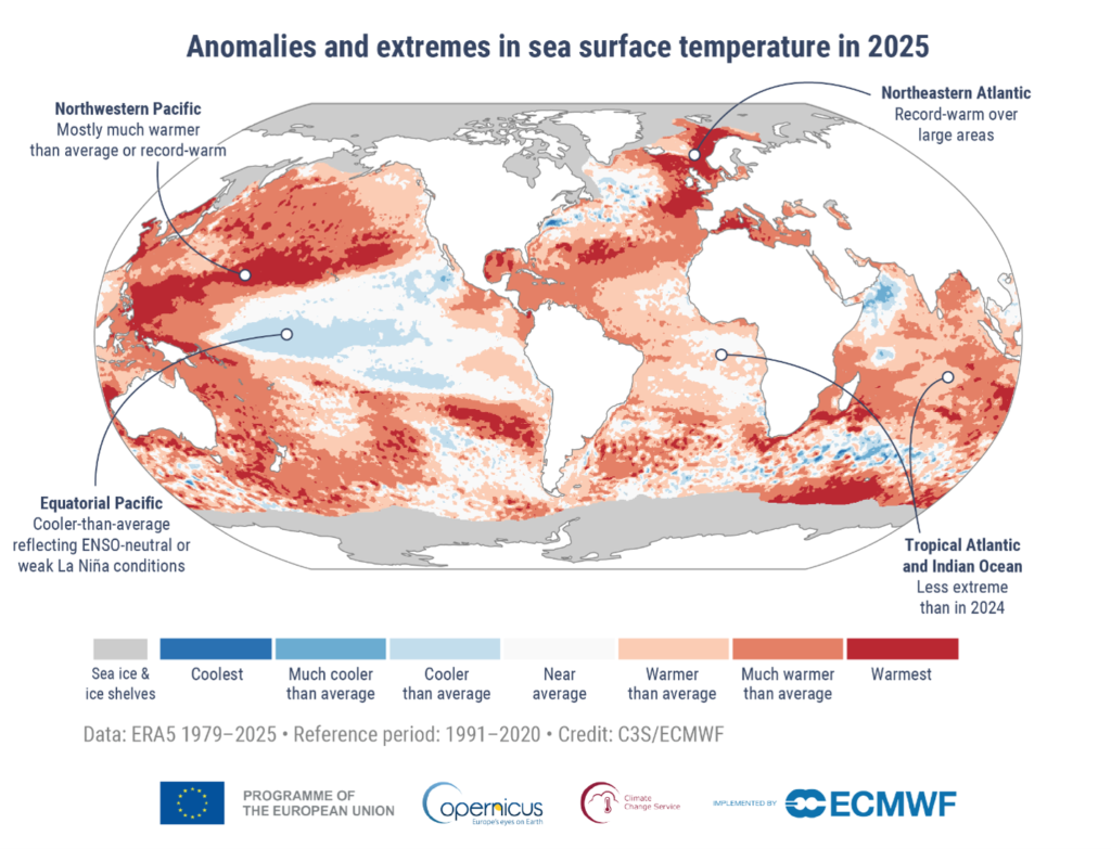 Ocean Temperature Extremes 2025