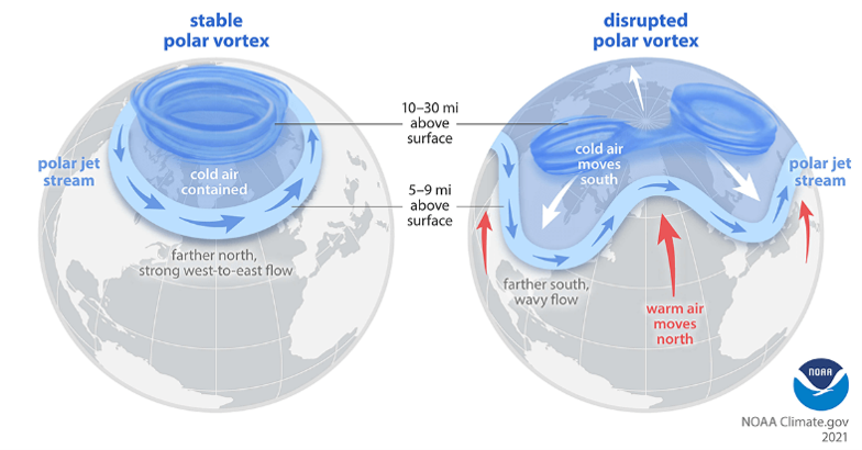 The Polar Vortex in its “strong” and “weak” phases infographic