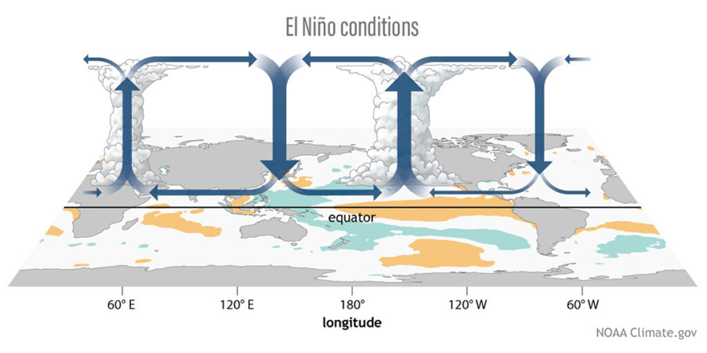 El Niño conditions infographic