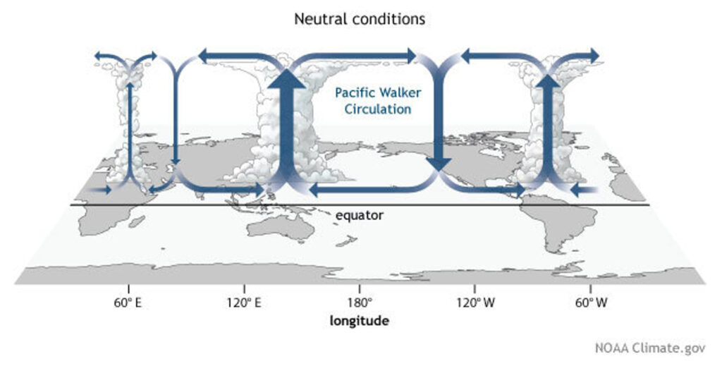 Neutral Conditions infographic