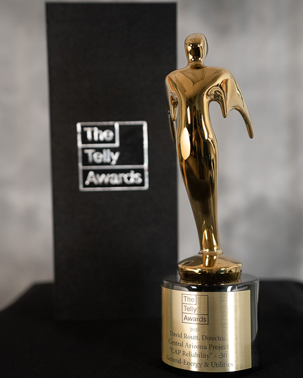 CAP Telly Award