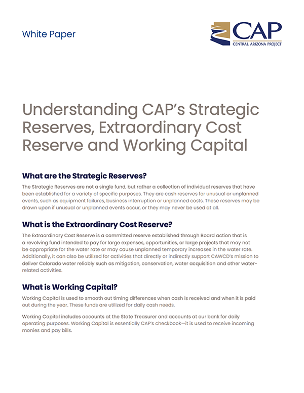 CAP Strategic Working Capital Reserves paper thumbnail