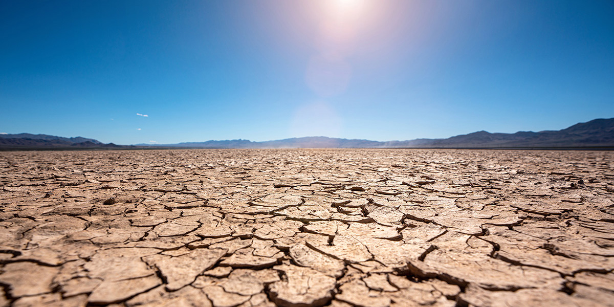 Dry ground