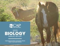 2025 Biology Annual Report cover thumbnail